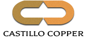 CCZ_logo